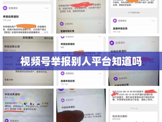 视频号举报别人平台知道吗