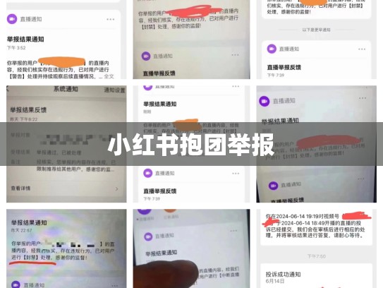 小红书抱团举报