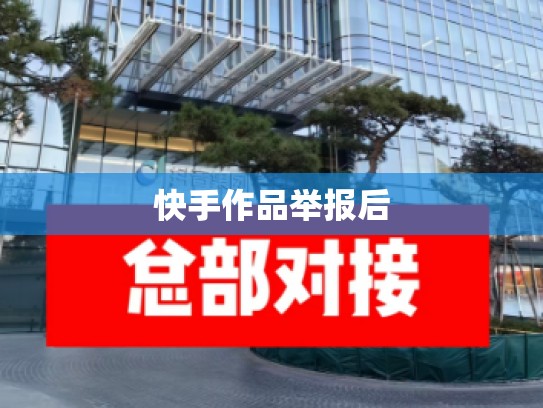 快手作品举报后