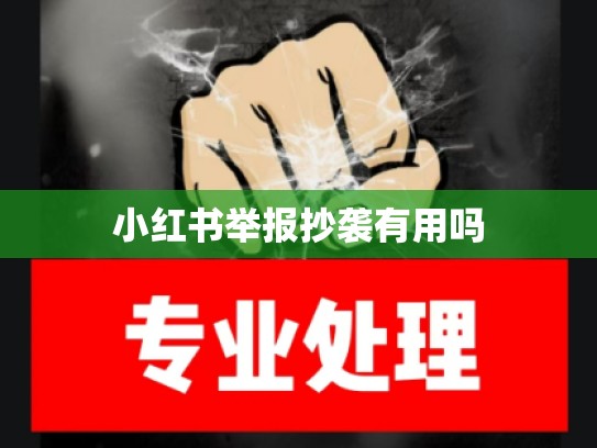 小红书举报抄袭有用吗