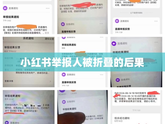 小红书举报人被折叠的后果