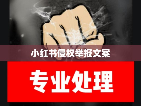 小红书侵权举报文案
