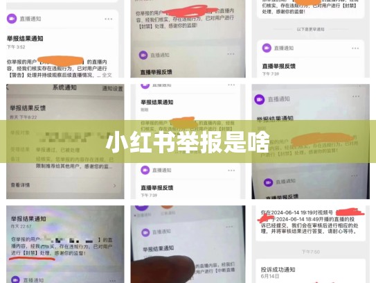 小红书举报是啥