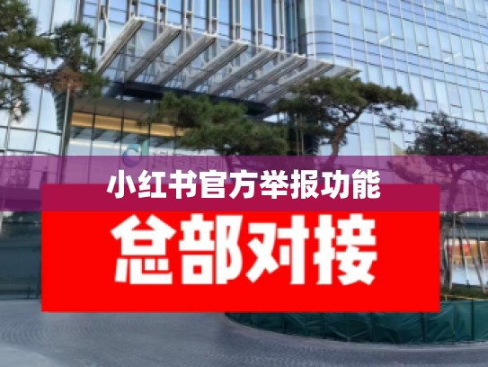 小红书官方举报功能