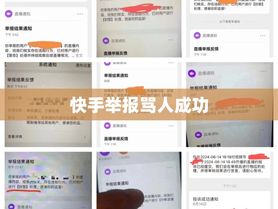 快手举报骂人成功
