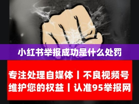 小红书举报成功是什么处罚