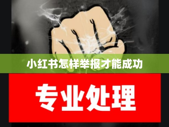 小红书怎样举报才能成功