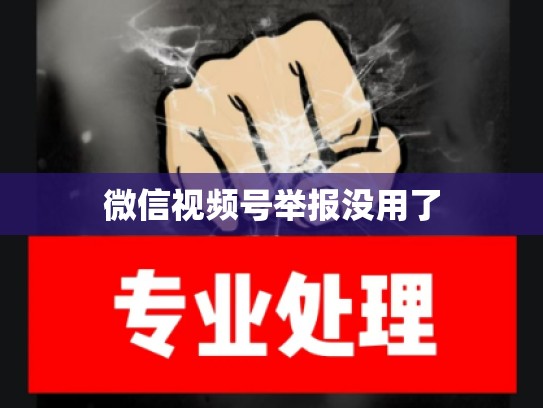 微信视频号举报没用了