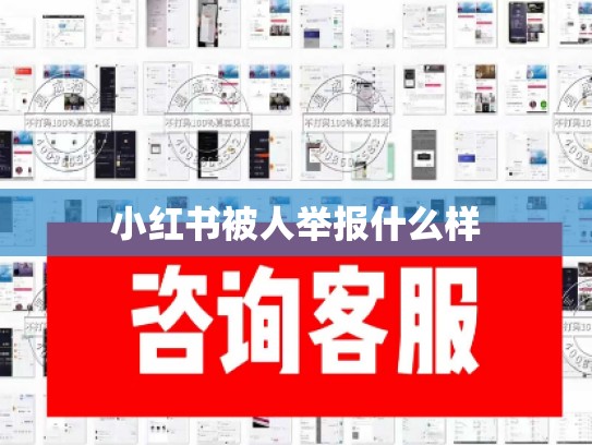 小红书被人举报什么样