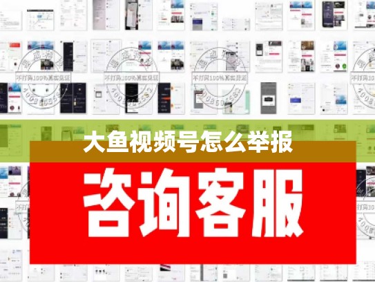 大鱼视频号怎么举报