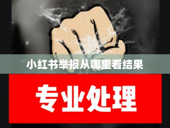 小红书举报从哪里看结果