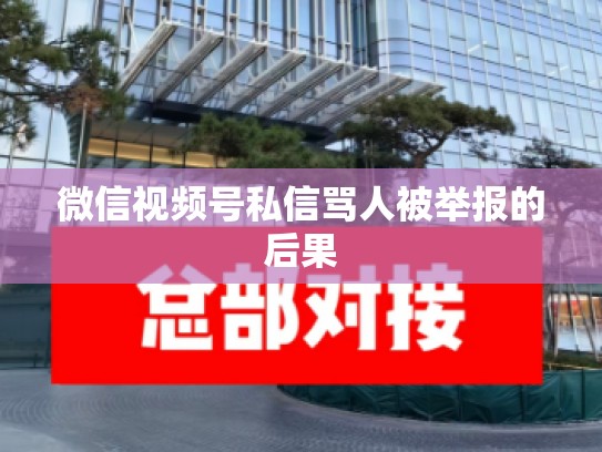 微信视频号私信骂人被举报的后果
