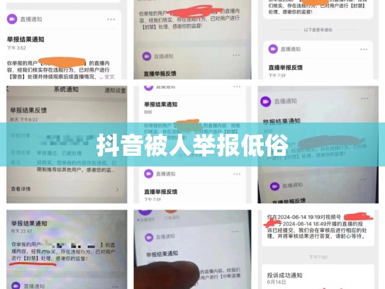 抖音被人举报低俗